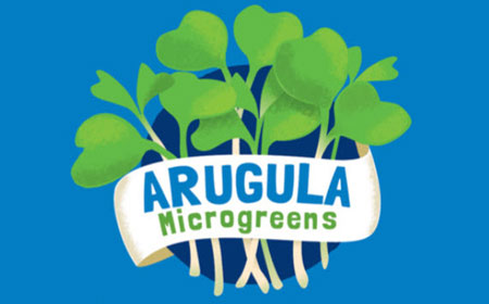 How to Use Your Microgreens Grow Kit