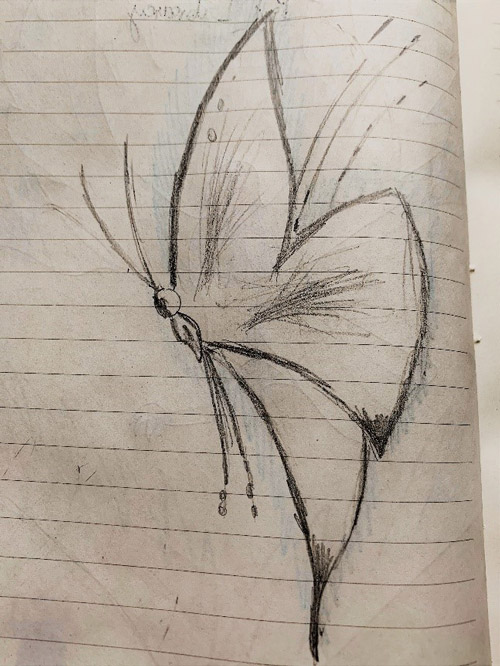 A charcoal drawing of a butterfly