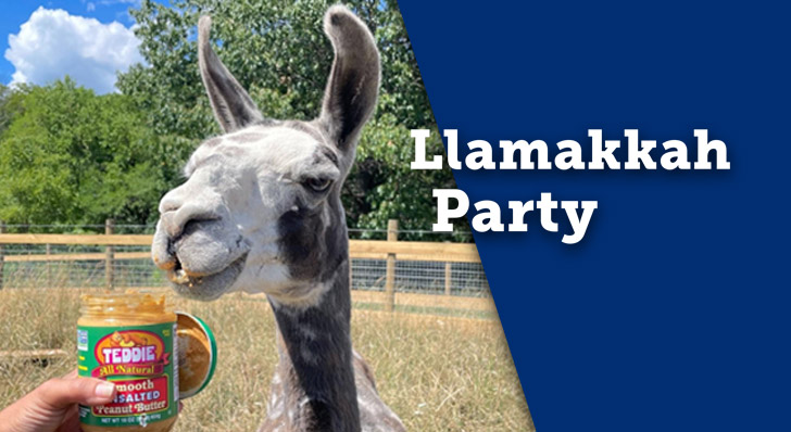 You’re invited to a Llamakkah Party!