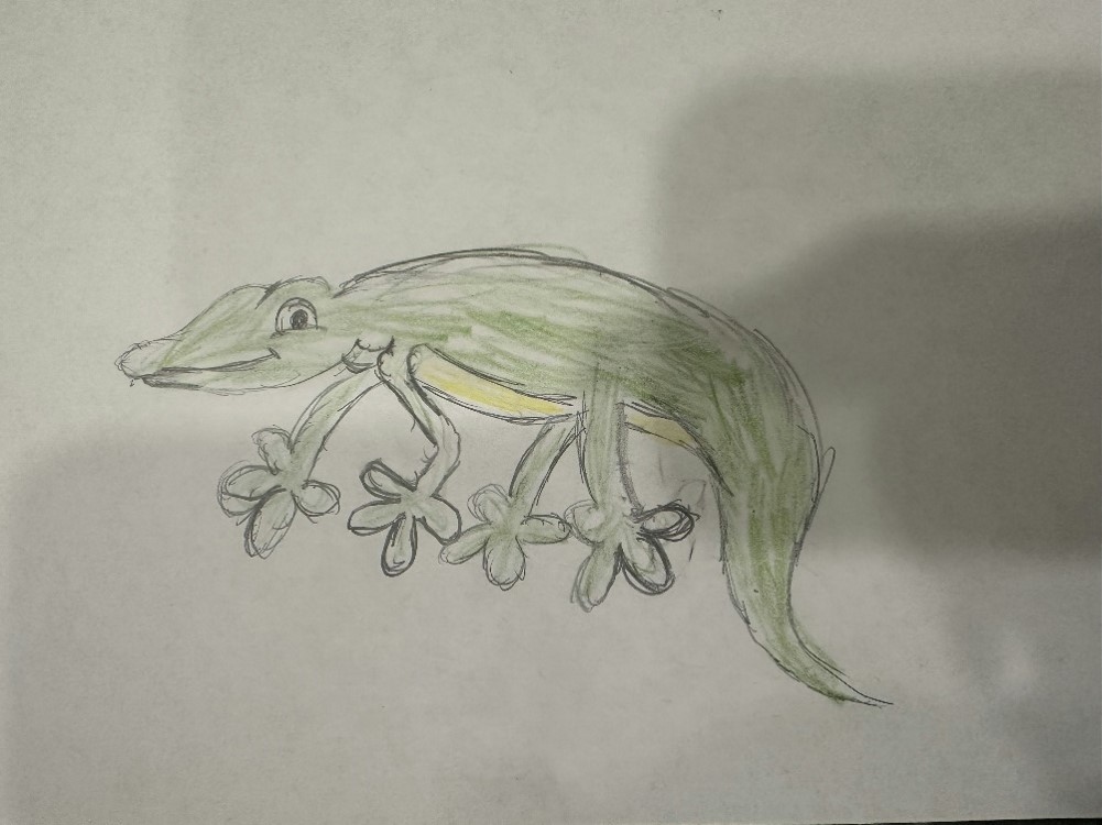 A drawing of a lizard by a child, Judah.