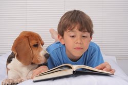 Reading to Dogs with Mitzvah the Mutt