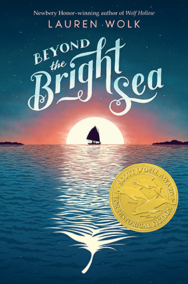 Beyond The Bright Sea book cover